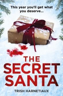 The Secret Santa Read online
