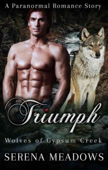 Triumph (Wolves 0f Gypsum Creek Book 2) Read online