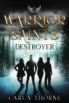 Warrior Saints - Destroyer Read online