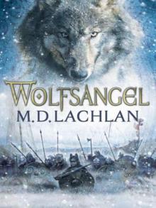 Wolfsangel Read online