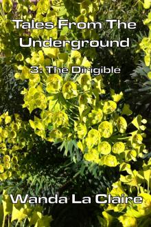 Tales From The Underground: 3 The Dirgible Read online