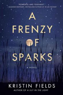 A Frenzy of Sparks: A Novel Read online