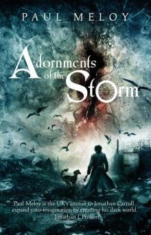 Adornments of the Storm Read online