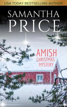Amish Christmas Mystery Read online