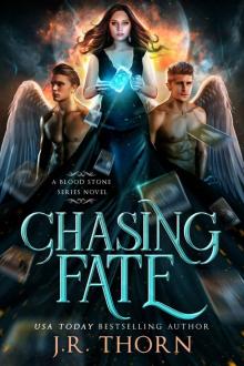 Chasing Fate: A Reverse Harem Romance Read online