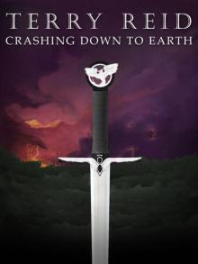 Crashing Down to Earth Read online