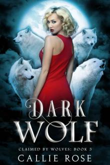 Dark Wolf Read online