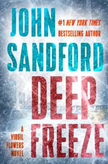 Deep Freeze Read online