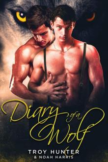 Diary of a Wolf: A Gay Shifter Romance Read online