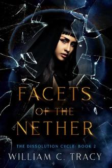 Facets of the Nether Read online