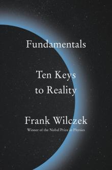 Fundamentals Read online