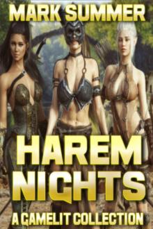 Harem Nights Online Read online