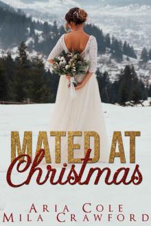 Mated At Christmas Read online
