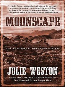 Moonscape Read online