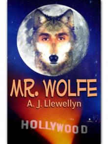 Mr. Wolfe