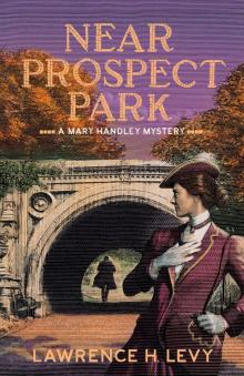 Near Prospect Park Read online