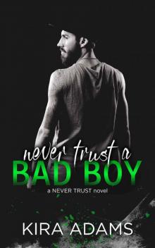 Never Trust a Bad Boy (The Never Trust Series) Read online
