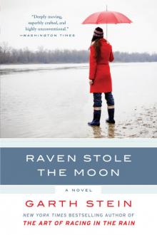 Raven Stole the Moon Read online