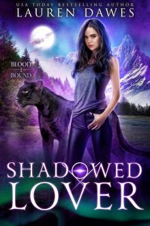 Shadowed Lover Read online