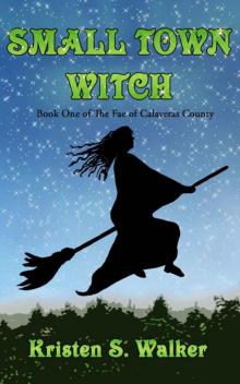 Small Town Witch (The Fae of Calaveras County) Read online