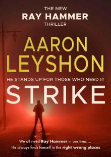 Strike (A Ray Hammer Novel Book 3) Read online