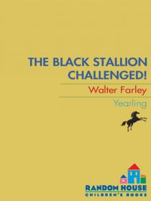 The Black Stallion Challenged Read online