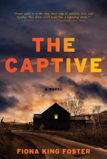 The Captive Read online