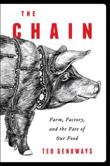 The Chain Read online