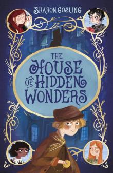 The House of Hidden Wonders Read online