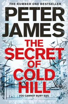 The Secret of Cold Hill Read online