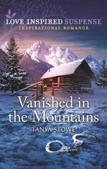 Vanished in the Mountains Read online