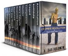 Zombie Revolution Read online