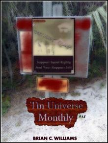 Tin Universe Monthly #15 Read online
