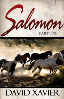 Salomon (Part One) Read online
