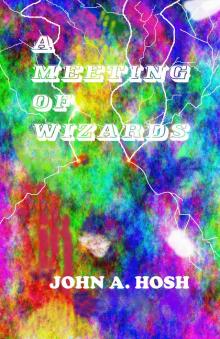 A Meeting of Wizards Read online