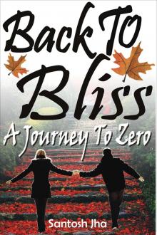 Back To Bliss: A Journey To Zero Read online