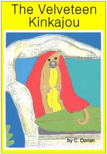 The Velveteen Kinkajou Read online