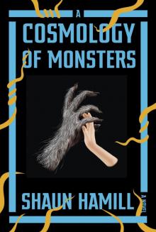 A Cosmology of Monsters Read online