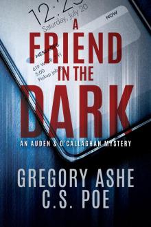 A Friend in the Dark Read online