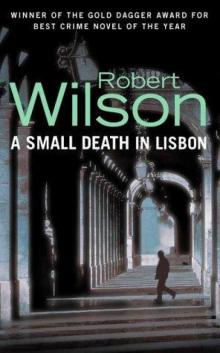 A Small Death in Lisbon Read online