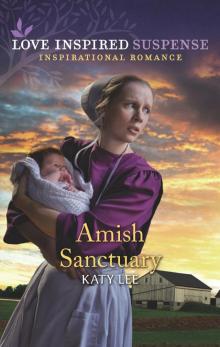 Amish Sanctuary Read online