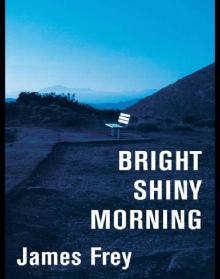 Bright Shiny Morning Read online