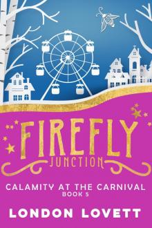 Calamity at the Carnival Read online