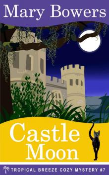 Castle Moon Read online