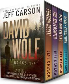David Wolf series Box Set Read online