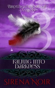 Falling from the Darkness (Brotherhood of Angels Series Book 3)