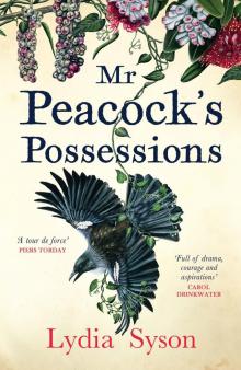 Mr Peacock's Possessions Read online
