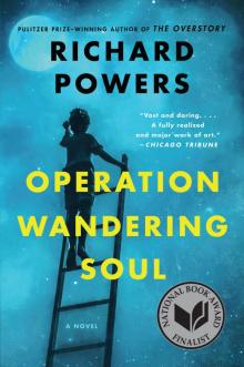 Operation Wandering Soul Read online
