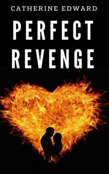 Perfect Revenge (Revenge Series Book 1) Read online