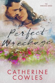 Perfect Wreckage (The Wrecked Series Book 2) Read online